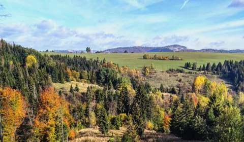 Kaufen landwirtsch. Grundstücke, landwirtsch. Grundstücke, Žilina, Slo