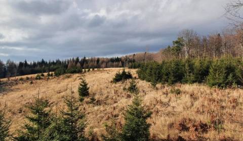 Kaufen landwirtsch. Grundstücke, landwirtsch. Grundstücke, Prievidza, 