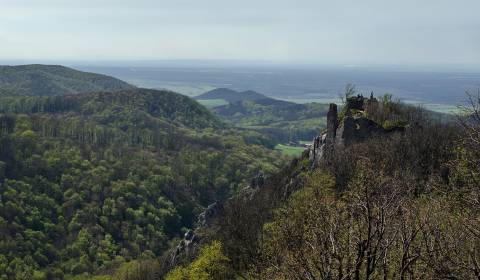 Kaufen landwirtsch. Grundstücke, landwirtsch. Grundstücke, Ilava, Slow