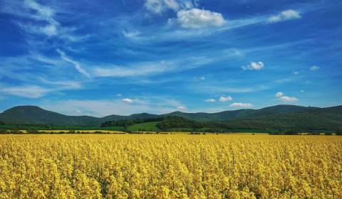 Kaufen landwirtsch. Grundstücke, landwirtsch. Grundstücke, Nitra, Slow