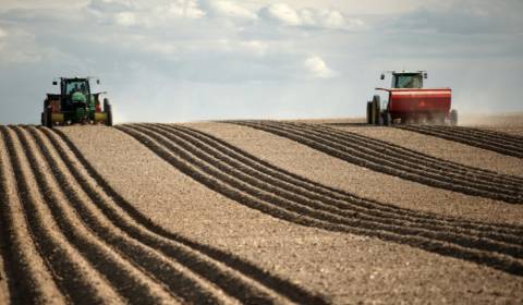 Kaufen landwirtsch. Grundstücke, landwirtsch. Grundstücke, Zlaté Morav