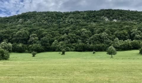 Kaufen landwirtsch. Grundstücke, landwirtsch. Grundstücke, Rožňava, Sl