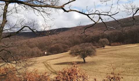 Kaufen landwirtsch. Grundstücke, landwirtsch. Grundstücke, Svidník, Sl