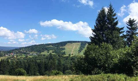 Kaufen landwirtsch. Grundstücke, landwirtsch. Grundstücke, Svidník, Sl