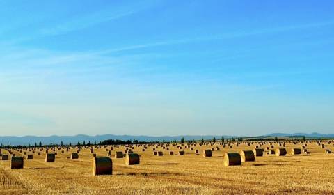 Kaufen landwirtsch. Grundstücke, landwirtsch. Grundstücke, Levice, Slo