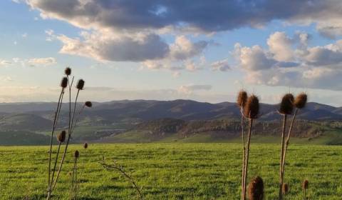 Kaufen landwirtsch. Grundstücke, landwirtsch. Grundstücke, Snina, Slow