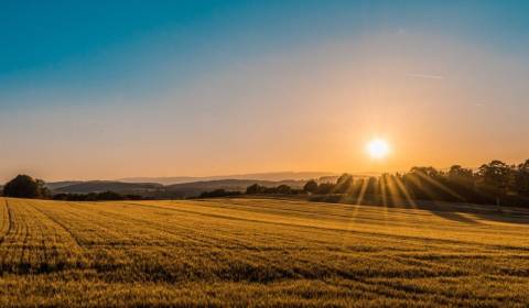 Kaufen landwirtsch. Grundstücke, landwirtsch. Grundstücke, Sobrance, S