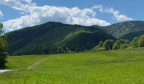 Kaufen landwirtsch. Grundstücke, landwirtsch. Grundstücke, Brezno, Slo