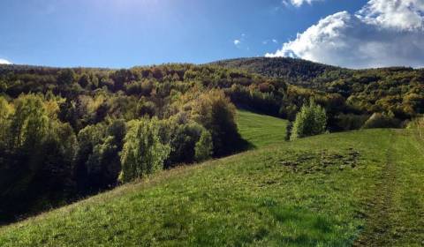 Kaufen landwirtsch. Grundstücke, landwirtsch. Grundstücke, Revúca, Slo