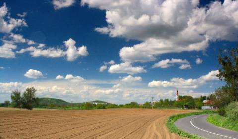 Kaufen landwirtsch. Grundstücke, landwirtsch. Grundstücke, Trebišov, S