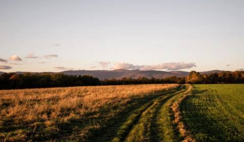 Kaufen landwirtsch. Grundstücke, landwirtsch. Grundstücke, Košice-okol