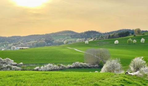 Kaufen landwirtsch. Grundstücke, landwirtsch. Grundstücke, Banská Byst