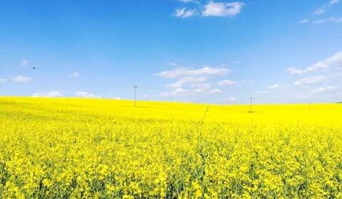 Kaufen landwirtsch. Grundstücke, landwirtsch. Grundstücke, Veľký Krtíš