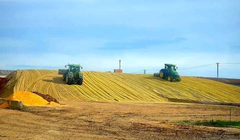 Kaufen landwirtsch. Grundstücke, landwirtsch. Grundstücke, Michalovce,