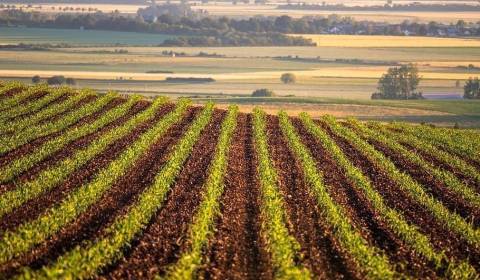 Kaufen landwirtsch. Grundstücke, landwirtsch. Grundstücke, Rimavská So