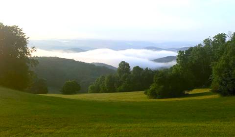 Kaufen landwirtsch. Grundstücke, landwirtsch. Grundstücke, Trenčín, Sl