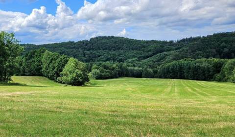 Kaufen landwirtsch. Grundstücke, landwirtsch. Grundstücke, Krupina, Sl