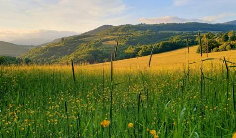 Kaufen landwirtsch. Grundstücke, landwirtsch. Grundstücke, Žiar nad Hr