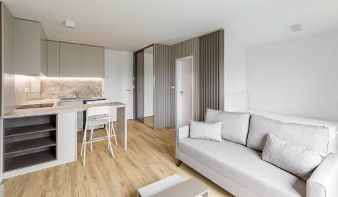 Mieten 1-Zimmer-Wohnung, 1-Zimmer-Wohnung, Astrová, Bratislava - Ružin