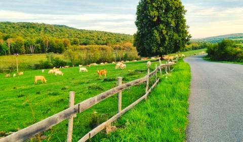 Kaufen landwirtsch. Grundstücke, landwirtsch. Grundstücke, Lučenec, Sl