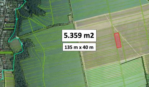 Kaufen landwirtsch. Grundstücke, landwirtsch. Grundstücke, Piešťany, S