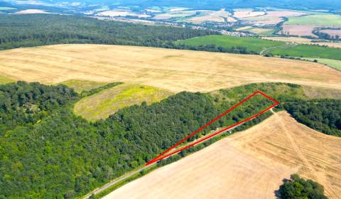 Kaufen landwirtsch. Grundstücke, landwirtsch. Grundstücke, Košice-okol