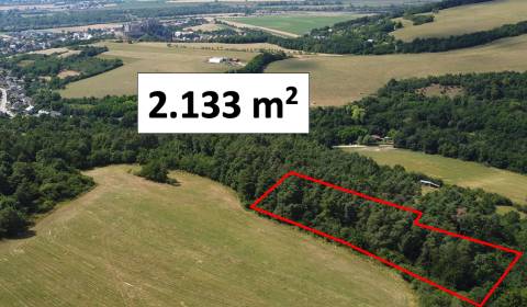 Kaufen landwirtsch. Grundstücke, landwirtsch. Grundstücke, Nové Mesto 