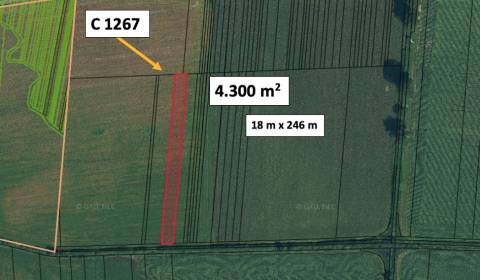 Kaufen landwirtsch. Grundstücke, landwirtsch. Grundstücke, Lučenec, Sl