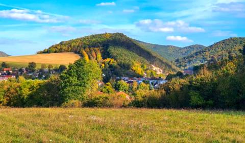 Kaufen landwirtsch. Grundstücke, landwirtsch. Grundstücke, Myjava, Slo