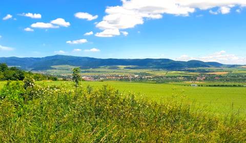 Kaufen landwirtsch. Grundstücke, landwirtsch. Grundstücke, Sabinov, Sl