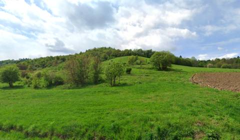 Kaufen landwirtsch. Grundstücke, landwirtsch. Grundstücke, Rimavská So