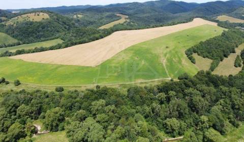 Kaufen landwirtsch. Grundstücke, landwirtsch. Grundstücke, Snina, Slow