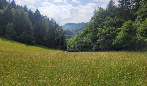 Kaufen landwirtsch. Grundstücke, landwirtsch. Grundstücke, Púchov, Slo