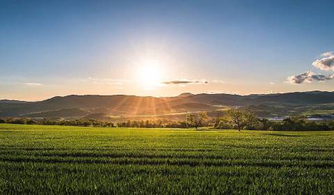 Kaufen landwirtsch. Grundstücke, landwirtsch. Grundstücke, Krupina, Sl