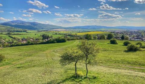 Kaufen landwirtsch. Grundstücke, landwirtsch. Grundstücke, Trenčín, Sl