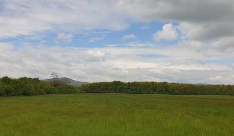 Kaufen landwirtsch. Grundstücke, landwirtsch. Grundstücke, Trnava, Slo