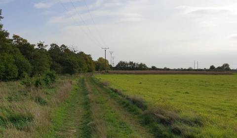 Kaufen Baugrundstück Erholung, Baugrundstück Erholung, Potočná, Pezino