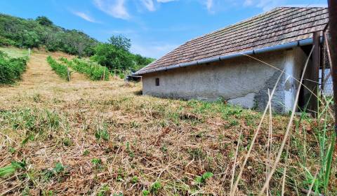 Kaufen Ferienhaus, Ferienhaus, Levice, Slowakei