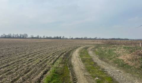 Kaufen landwirtsch. Grundstücke, landwirtsch. Grundstücke, Domky, Sene