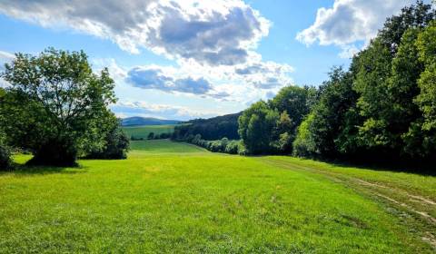 Kaufen landwirtsch. Grundstücke, landwirtsch. Grundstücke, Piešťany, S