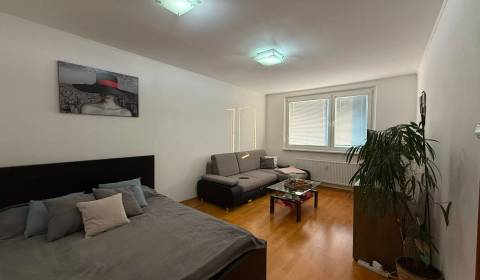 Kaufen 1-Zimmer-Wohnung, 1-Zimmer-Wohnung, Bilíkova, Bratislava - Dúbr