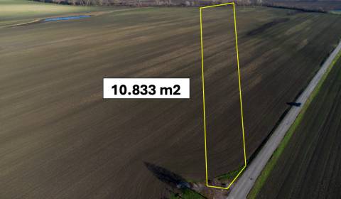 Kaufen landwirtsch. Grundstücke, landwirtsch. Grundstücke, Malacky, Sl