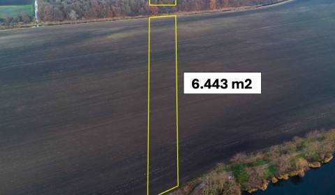 Kaufen landwirtsch. Grundstücke, landwirtsch. Grundstücke, Malacky, Sl