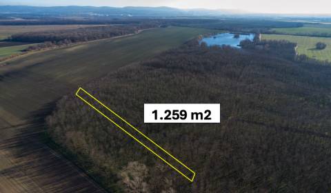 Kaufen landwirtsch. Grundstücke, landwirtsch. Grundstücke, Malacky, Sl