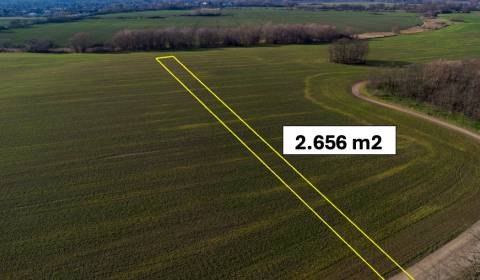 Kaufen landwirtsch. Grundstücke, landwirtsch. Grundstücke, Malacky, Sl