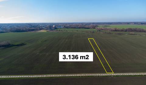 Kaufen landwirtsch. Grundstücke, landwirtsch. Grundstücke, Malacky, Sl