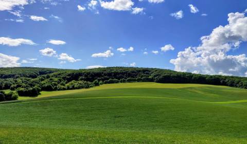 Kaufen landwirtsch. Grundstücke, landwirtsch. Grundstücke, Myjava, Slo