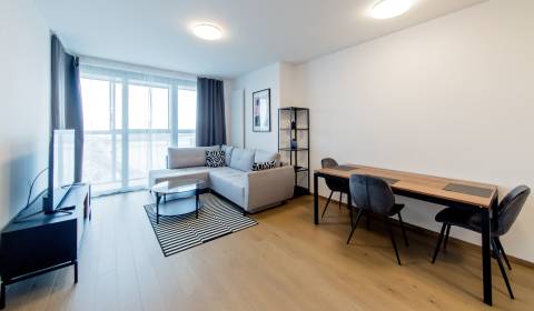 Mieten 2-Zimmer-Wohnung, 2-Zimmer-Wohnung, Pribinova, Bratislava - Sta