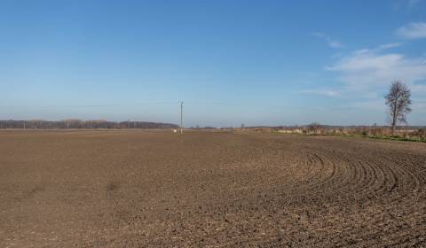 Kaufen landwirtsch. Grundstücke, landwirtsch. Grundstücke, Malacky, Sl