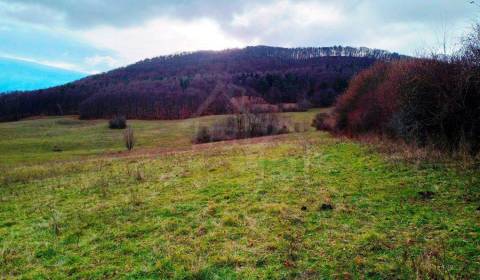 Kaufen landwirtsch. Grundstücke, landwirtsch. Grundstücke, Nové Mesto 